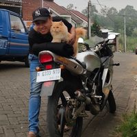 suara asli - Deo Effendy