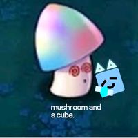 mushroom_comments