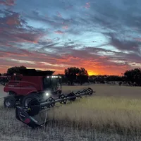 original sound - jovan.fuchsbichler