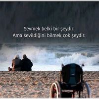 orijinal ses