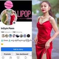 ingyinpann860