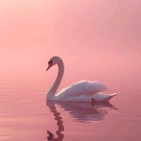 its_chita_5