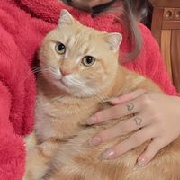 rita_0220.1234