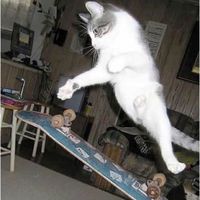 оригинальный звук