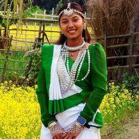 mayach15812