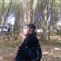 dawnang201