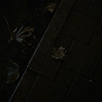 оригинальный звук