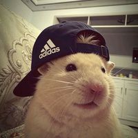 original sound - CHANNEL 9 PRESET