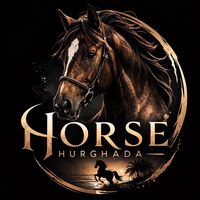 horsehurghada