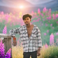 rohitsah8077