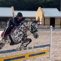 isa_horse7