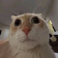 nhạc nền - long time no see