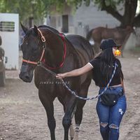 citlalilopez153