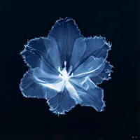 МОЙ МУЖ ВИННИ ХАКЕР