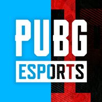 pubg.esports.official