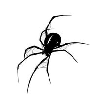 original sound - Vannex St