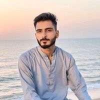 hussnainabbasi0319