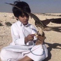 الصوت الأصلي