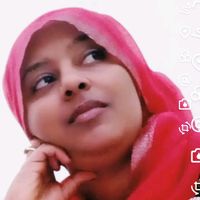 sadamd013gmailcom