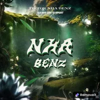 original sound - nhabenz66