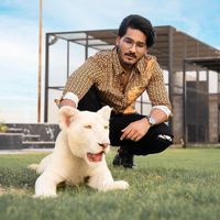 original sound