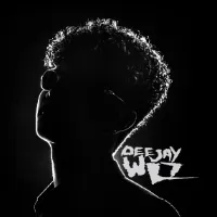 MIXTO FUNK BRAZILIAN REMIX DJ WL7