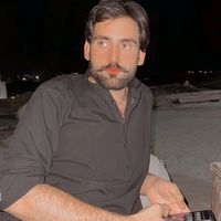 zakirbuledi4