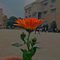 aestheticbangash22