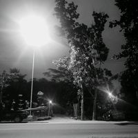 tara86852
