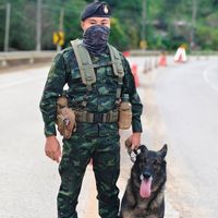15ks_k9