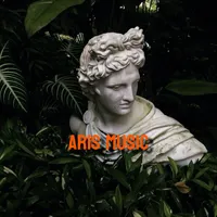 original sound - aris29080
