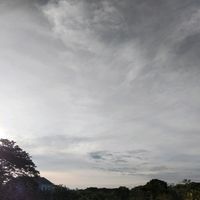 suara asli - *Ff*