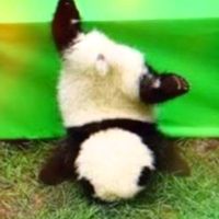 オリジナル楽曲 - もちお🎀🤍トップに❤ください