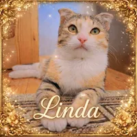 original sound - linda43629