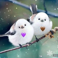 オリジナル楽曲 - 🦋ちょう🚄💜🤎🩶