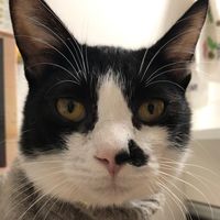 オリジナル楽曲 - そらみ✈️🥒しーちゃんと愉快な仲間達