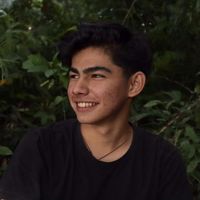 original sound - Andrew Kalaweit