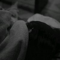 elay1i_1