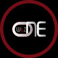 original sound - WilzONE