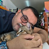 mr.bunnyt