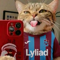 orijinal ses