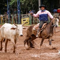 vitorrocha395