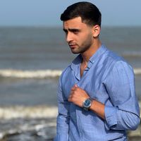 mircavidesgerov_03
