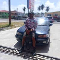 elmodelo313