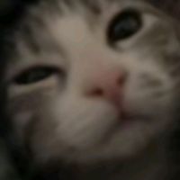 オリジナル楽曲 - raty🪶