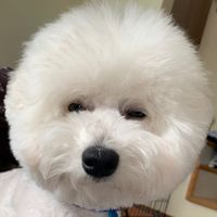 オリジナル楽曲 - 🐻‍❄️わたときら🐕‍🦺