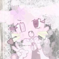 .p4int_