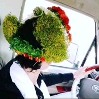 الصوت الأصلي