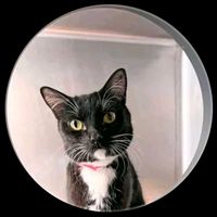 original sound - ThantZinAung