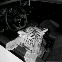 original sound - lubafrol